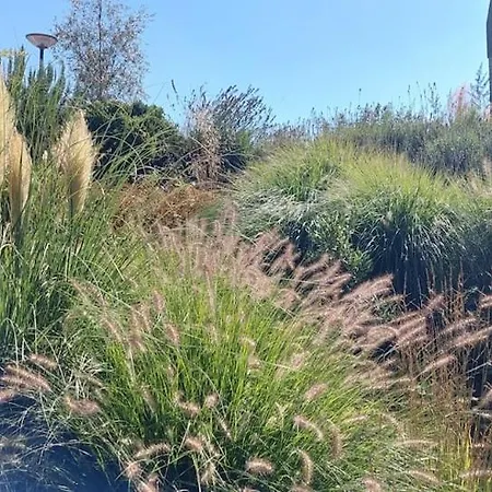 Appartamento Wellness Duinpoort Castricum